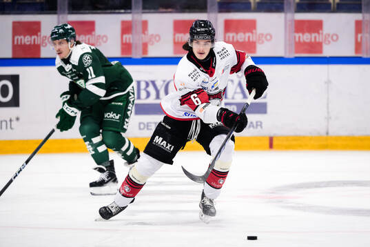 Malmö Redhawks Dominik Badinka