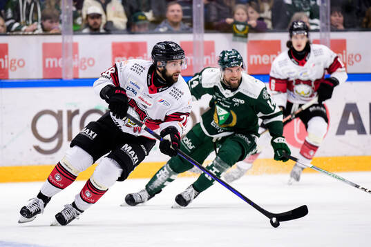 Malmö Redhawks Robin Hanzl