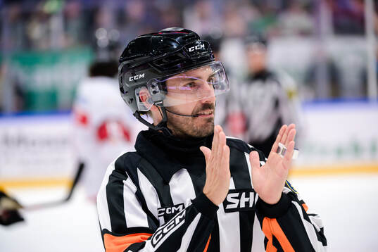 Domare Mattias Enroth