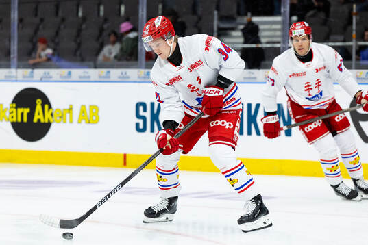 Timrås Sebastian Hartmann