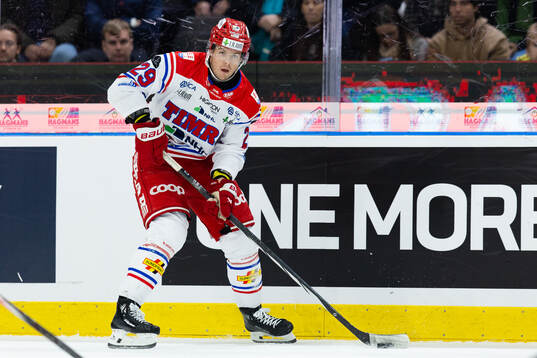 Timrås Filip Hållander