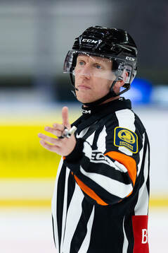 Domare Mikael Holm