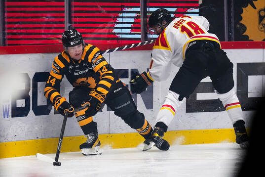 Skellefteås Andreas Johnson och Brynäs Anton Rödin