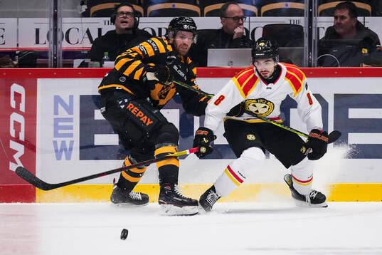 Skellefteås Oscar Lindberg och Brynäs Bobby Trivigno