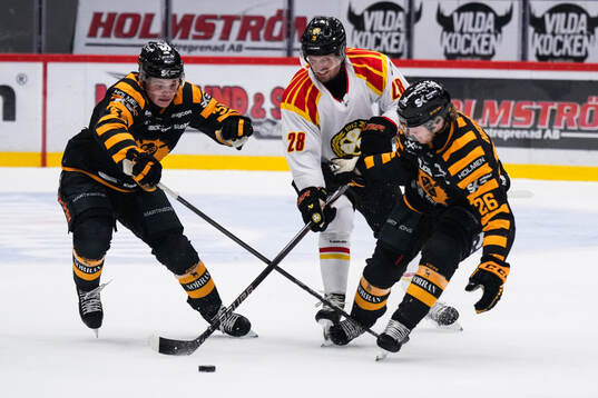 Skellefteås Zeb Forsfjäll och Anton Heikkinen mot Brynäs