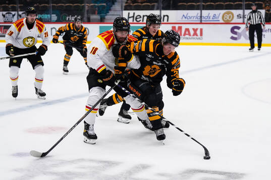 Brynäs Anton Rödin och Skellefteås Anton Heikkinen