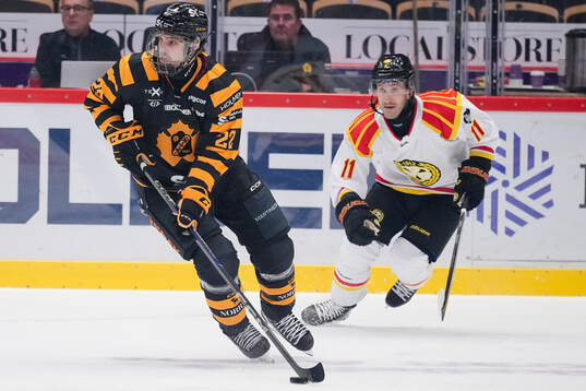 Skellefteås Jonathan Johnson och Brynäs Jordan Schroeder
