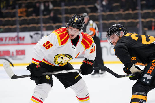 Brynäs Linus Ölund och Skellefteås Oscar Lindberg