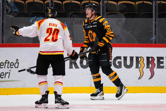 Brynäs Tyler Vesel och Skellefteås Michael