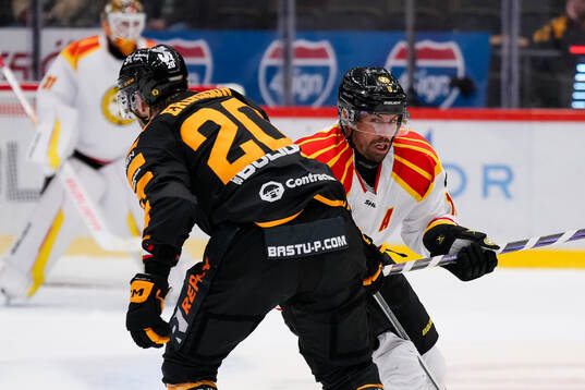 Skellefteås Marcus Eriksson och Brynäs Anton Rödin