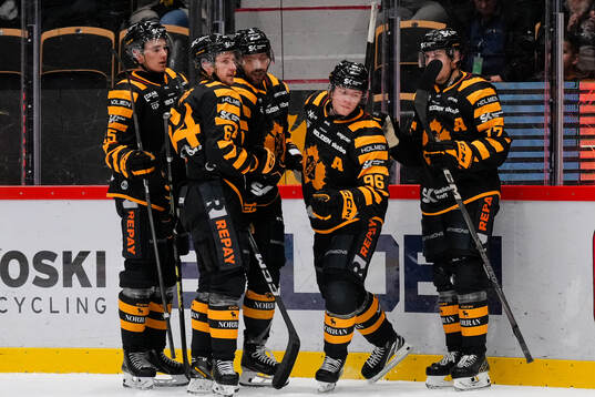 Skellefteås Rickard Hugg jublar