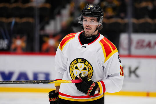 Brynäs Axel Andersson