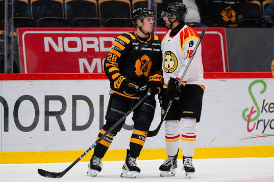 Skellefteås Michael Brandsegg-Nygård och Brynäs Tyler