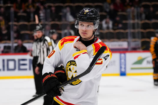 Brynäs Viktor Persson