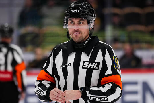 Domare David Laksola
