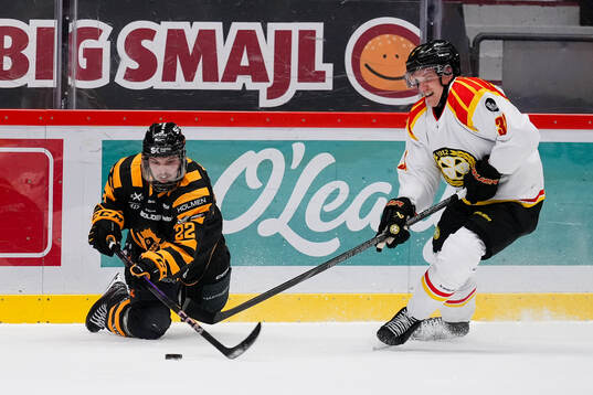 Skellefteås Jonathan Johnson och Brynäs Jakob Silfverberg