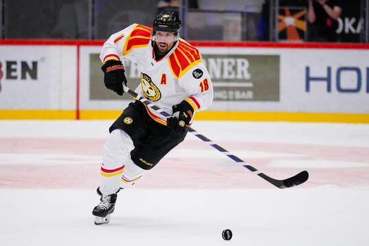 Brynäs Anton Rödin