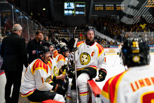 Brynäs Johan Larsson