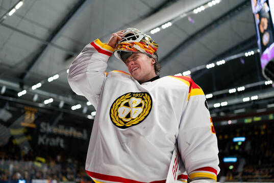 Brynäs målvakt Erik Källgren