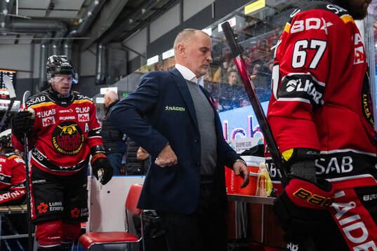 Luleås tränare Thomas Berglund