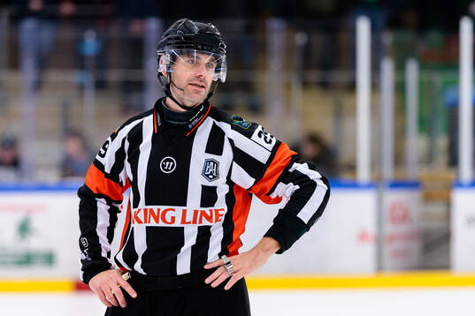 Domare Richard Magnusson