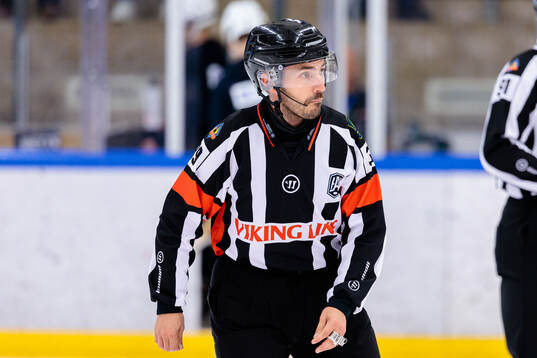 Domare Mattias Enroth