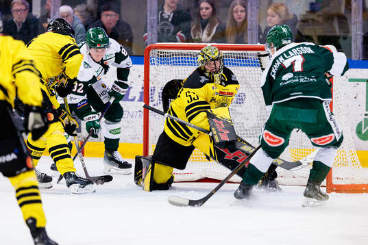 Vimmerbys målvakt Claes Endre