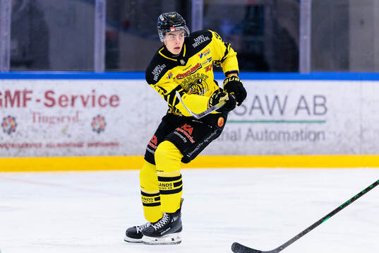 Vimmerbys Adam Petersson