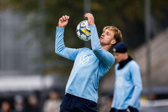 Malmö FFs Erik Botheim