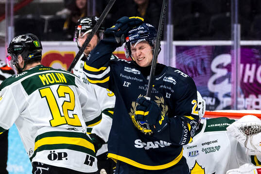 Södertäljes Egor Polin