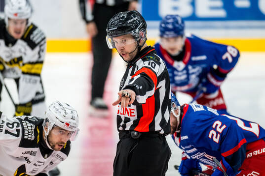Domare Alex Eriksson