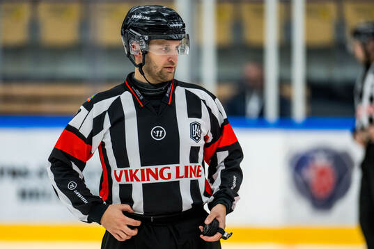 Domare Niklas Johansson