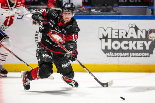 Malmö Redhawks Freddie Larsson