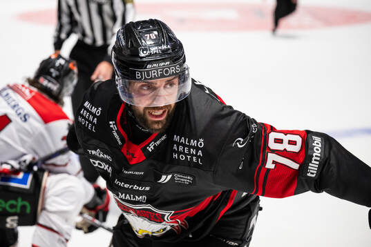Malmö Redhawks Robin Hanzl