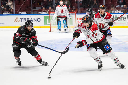 Malmö Redhawks Robin Hanzl och Örebros Hannes Björninen