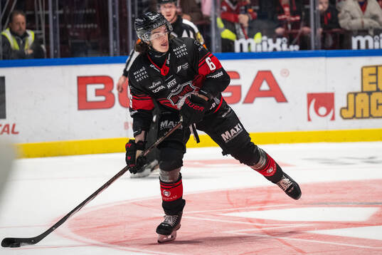 Malmö Redhawks Dominik Badinka