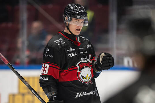 Malmö Redhawks Fredrik Händemark