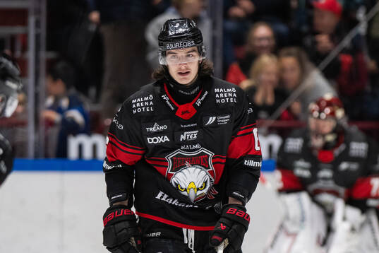 Malmö Redhawks Dominik Badinka