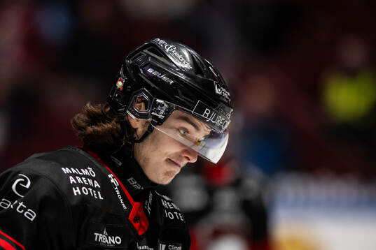 Malmö Redhawks Dominik Badinka