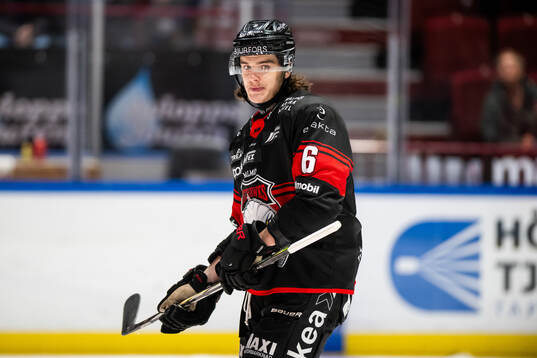 Malmö Redhawks Dominik Badinka