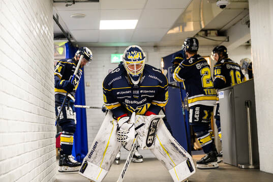 HV71s målvakt Frederik Dichow