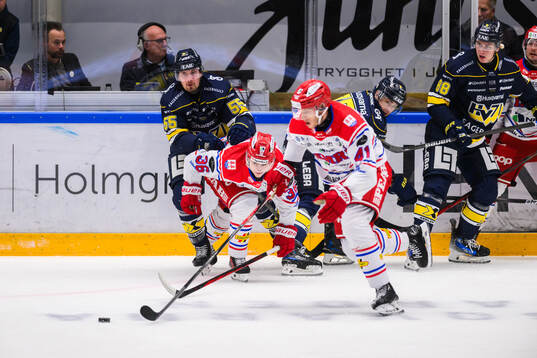 HV71s Mikael Seppälä och Timrås Maximilian Eisenmenger