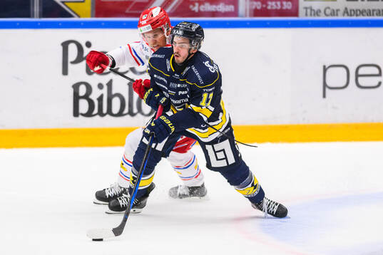 Timrås Anton Wedin och HV71s Isac Brännström