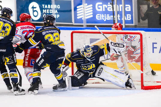 HV71s målvakt Frederik Dichow