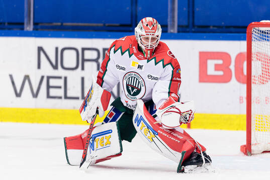 Frölundas målvakt Lars Johansson