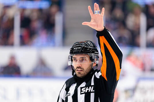 Domare Mattias Enroth