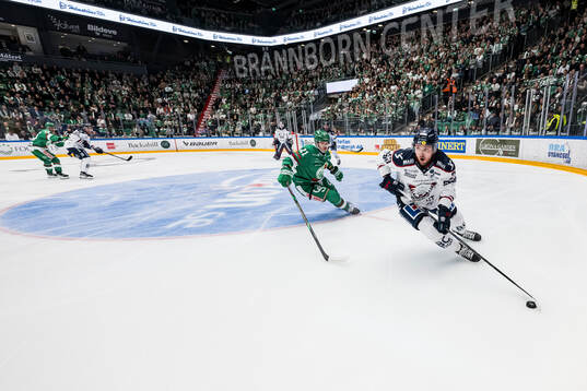 Bläddra bland fler bilder av Ishockey, SHL, Rögle - Linköping