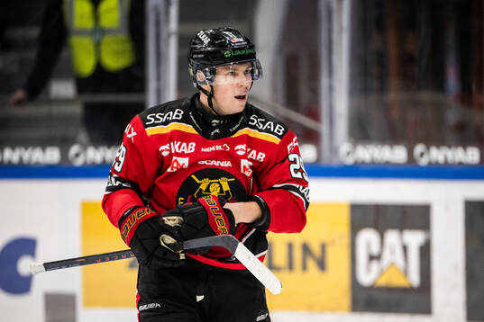 Luleås Erik Gustafsson deppar