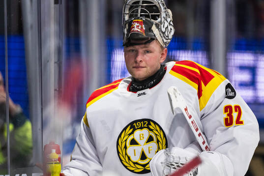 Brynäs målvakt Ludvig Persson