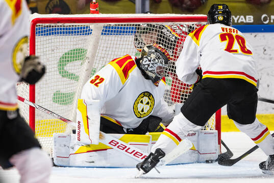 Brynäs målvakt Ludvig Persson
